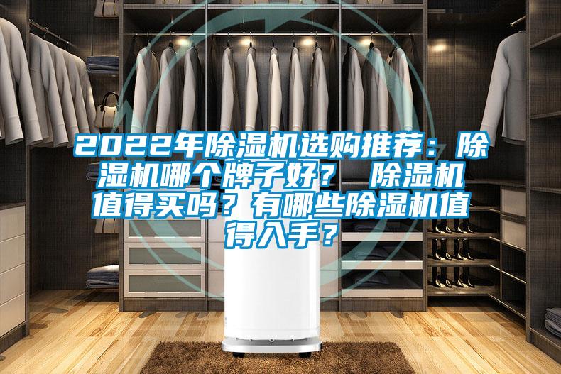 2022年除濕機(jī)選購(gòu)?fù)扑]：除濕機(jī)哪個(gè)牌子好？ 除濕機(jī)值得買(mǎi)嗎？有哪些除濕機(jī)值得入手？