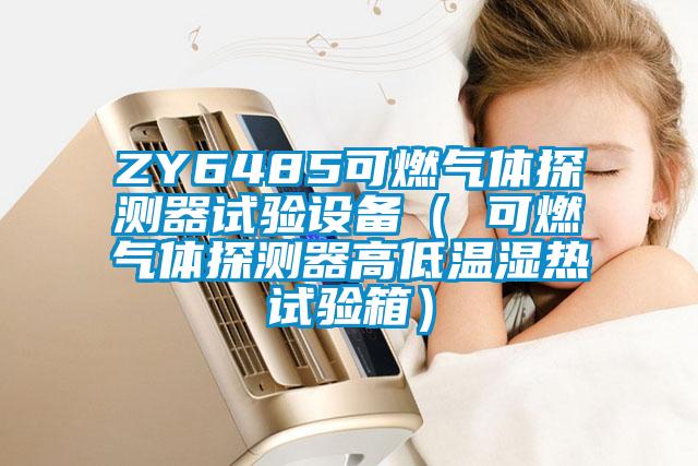 ZY6485可燃氣體探測器試驗設備（ 可燃氣體探測器高低溫濕熱試驗箱）