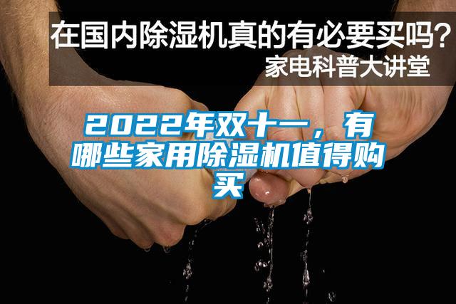 2022年雙十一，有哪些家用除濕機(jī)值得購買