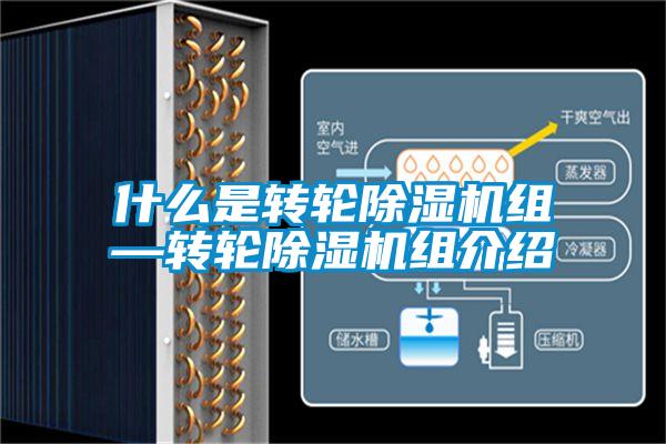 什么是轉(zhuǎn)輪除濕機(jī)組—轉(zhuǎn)輪除濕機(jī)組介紹