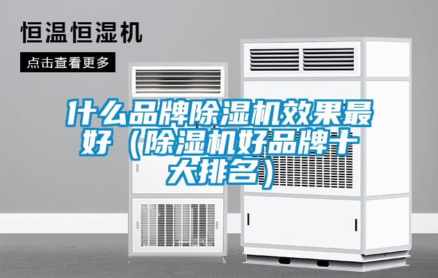 什么品牌除濕機(jī)效果最好（除濕機(jī)好品牌十大排名）