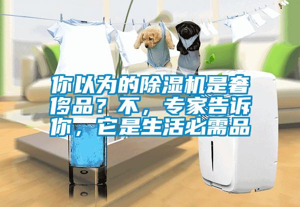 你以為的除濕機(jī)是奢侈品？不，專家告訴你，它是生活必需品