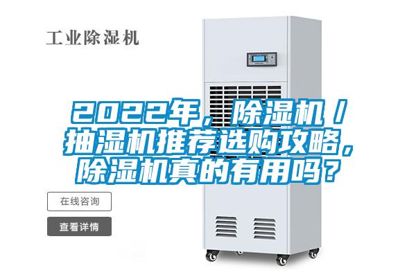 2022年，除濕機／抽濕機推薦選購攻略，除濕機真的有用嗎？