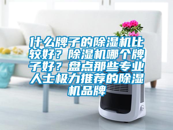 什么牌子的除濕機比較好？除濕機哪個牌子好？盤點那些專業(yè)人士極力推薦的除濕機品牌