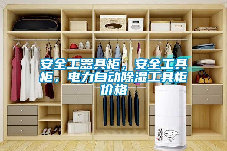 安全工器具柜，安全工具柜，電力自動(dòng)除濕工具柜價(jià)格