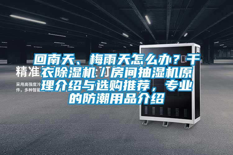 回南天、梅雨天怎么辦？干衣除濕機／房間抽濕機原理介紹與選購?fù)扑]，專業(yè)的防潮用品介紹