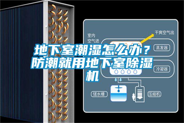 地下室潮濕怎么辦？防潮就用地下室除濕機(jī)