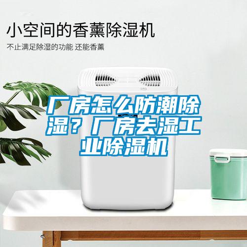 廠房怎么防潮除濕？廠房去濕工業(yè)除濕機(jī)