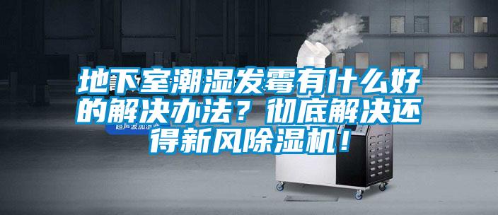 地下室潮濕發(fā)霉有什么好的解決辦法？徹底解決還得新風(fēng)除濕機(jī)！