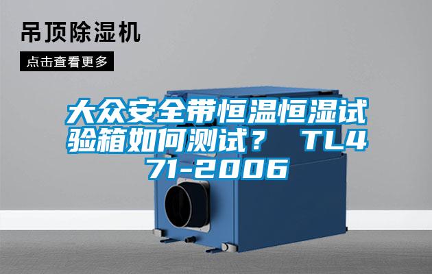 大眾安全帶恒溫恒濕試驗箱如何測試？ TL471-2006