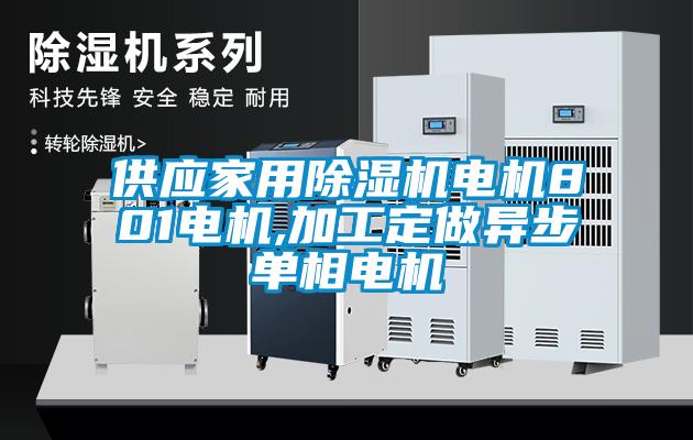 供應(yīng)家用除濕機電機801電機,加工定做異步單相電機