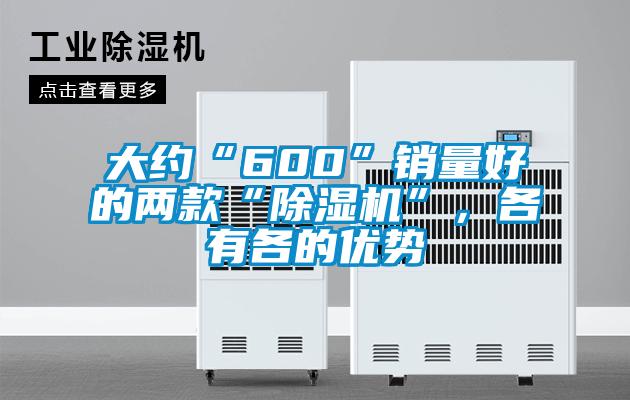 大約“600”銷量好的兩款“除濕機”，各有各的優(yōu)勢