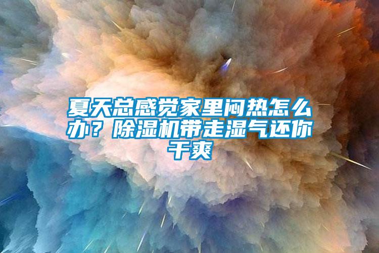 夏天總感覺家里悶熱怎么辦？除濕機帶走濕氣還你干爽