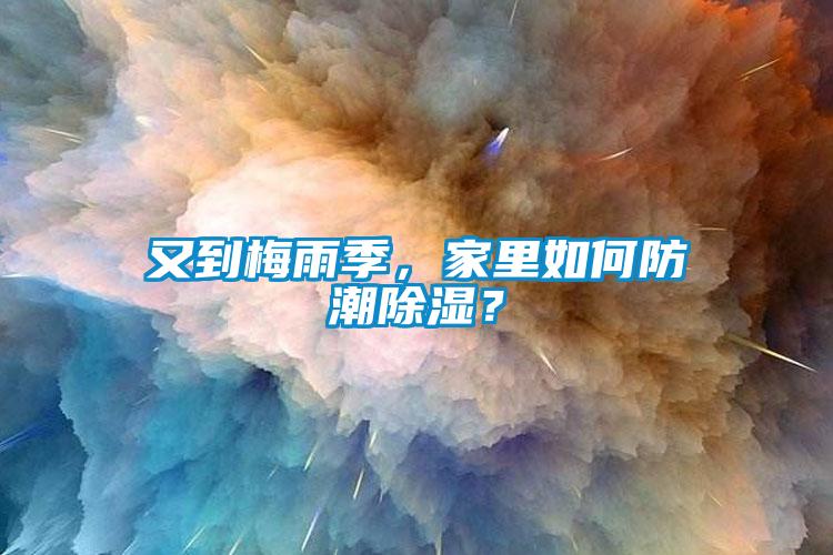 又到梅雨季，家里如何防潮除濕？