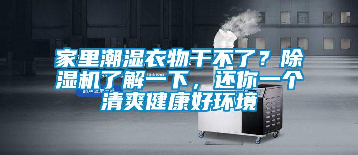 家里潮濕衣物干不了？除濕機了解一下，還你一個清爽健康好環(huán)境