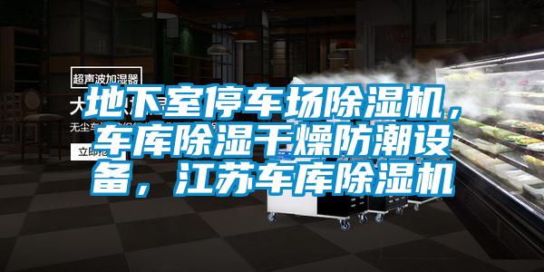 地下室停車場除濕機(jī)，車庫除濕干燥防潮設(shè)備，江蘇車庫除濕機(jī)