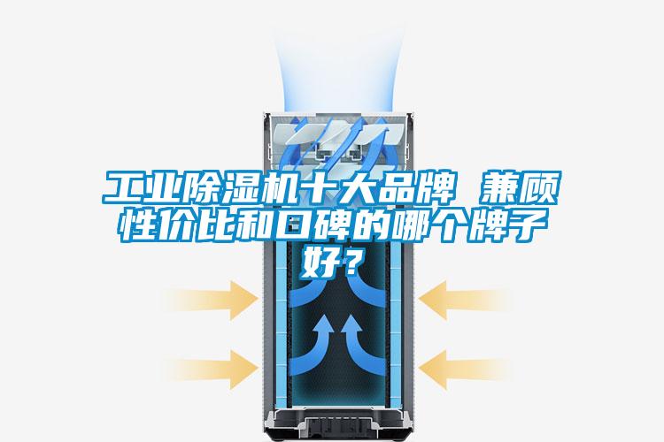 工業(yè)除濕機十大品牌 兼顧性價比和口碑的哪個牌子好？