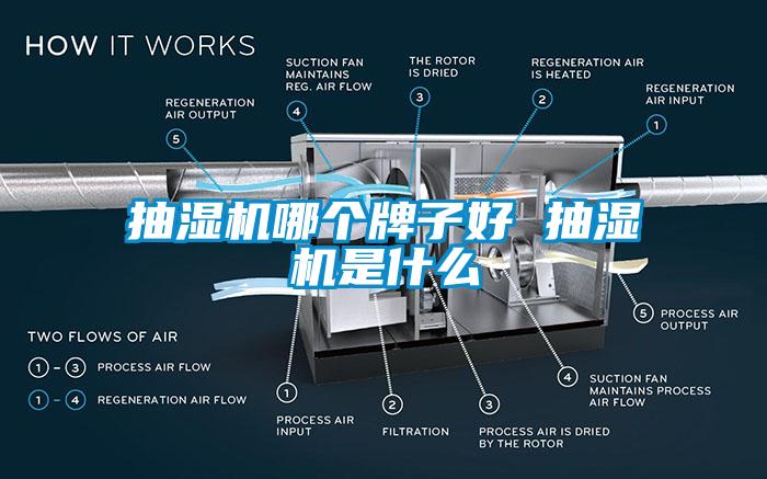 抽濕機(jī)哪個(gè)牌子好 抽濕機(jī)是什么