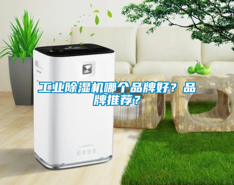 工業(yè)除濕機哪個品牌好？品牌推薦？