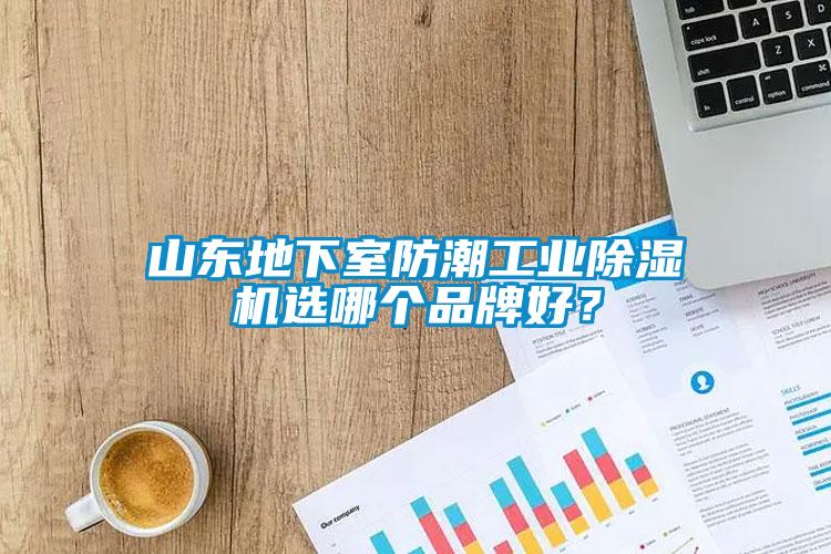 山東地下室防潮工業(yè)除濕機(jī)選哪個(gè)品牌好？