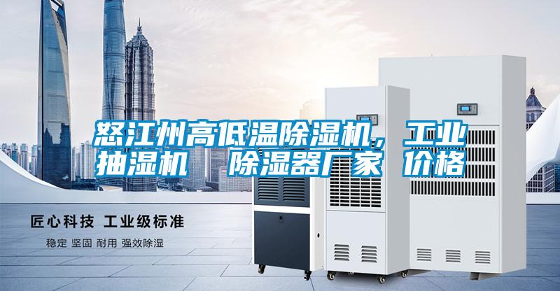 怒江州高低溫除濕機，工業(yè)抽濕機  除濕器廠家 價格