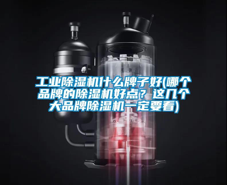 工業(yè)除濕機什么牌子好(哪個品牌的除濕機好點？這幾個大品牌除濕機一定要看)