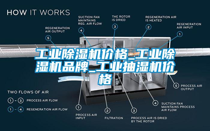 工業(yè)除濕機價格_工業(yè)除濕機品牌_工業(yè)抽濕機價格