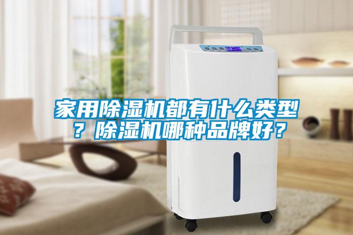 家用除濕機(jī)都有什么類型？除濕機(jī)哪種品牌好？