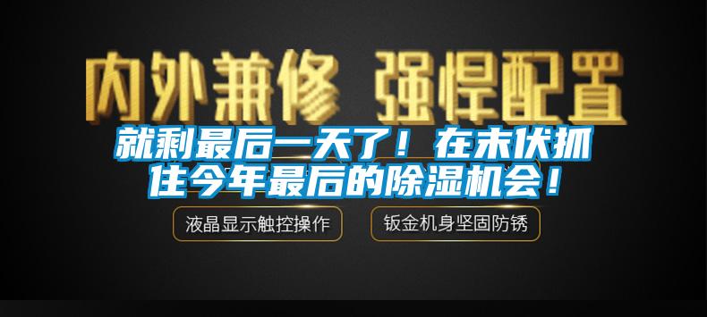 就剩最后一天了！在末伏抓住今年最后的除濕機會！