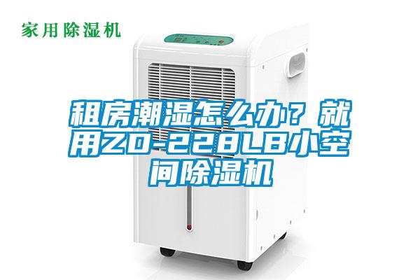 租房潮濕怎么辦？就用ZD-228LB小空間除濕機(jī)