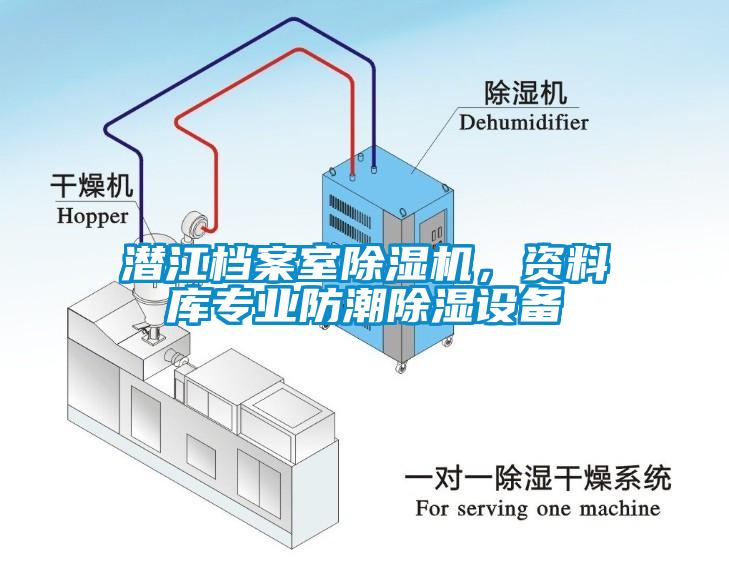 潛江檔案室除濕機(jī)，資料庫(kù)專業(yè)防潮除濕設(shè)備