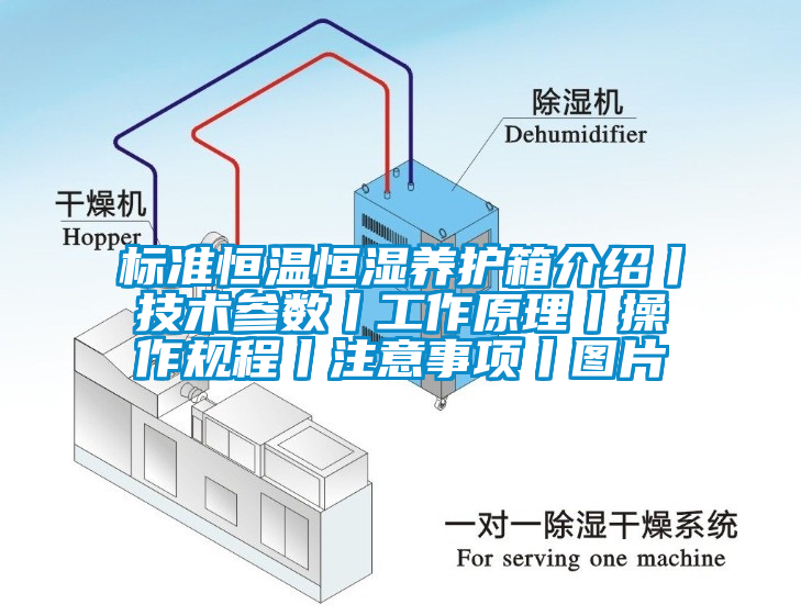 標準恒溫恒濕養(yǎng)護箱介紹丨技術參數(shù)丨工作原理丨操作規(guī)程丨注意事項丨圖片