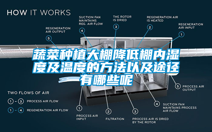 蔬菜種植大棚降低棚內濕度及溫度的方法以及途徑有哪些呢