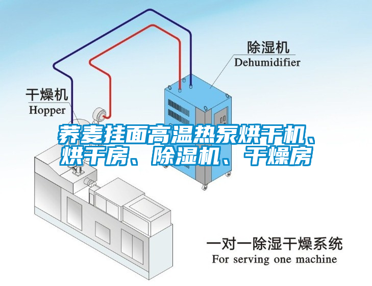 蕎麥掛面高溫熱泵烘干機、烘干房、除濕機、干燥房