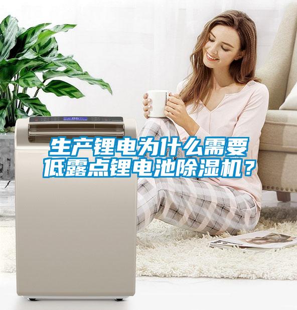 生產(chǎn)鋰電為什么需要低露點鋰電池除濕機？