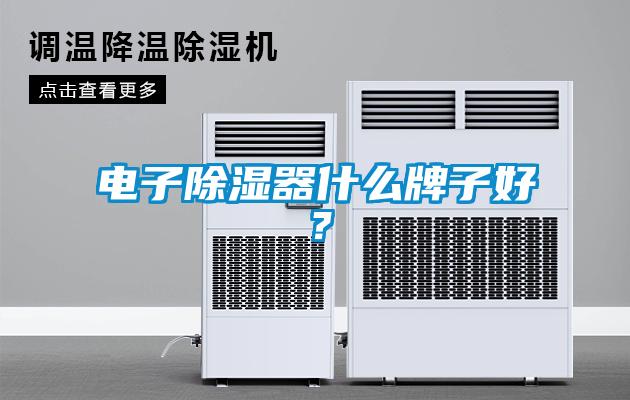 電子除濕器什么牌子好？