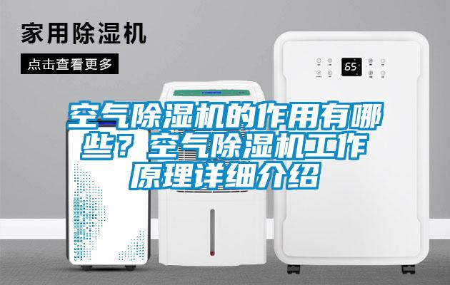 空氣除濕機的作用有哪些？空氣除濕機工作原理詳細介紹