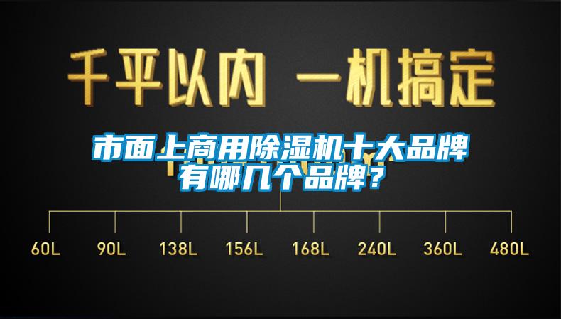 市面上商用除濕機(jī)十大品牌有哪幾個(gè)品牌？