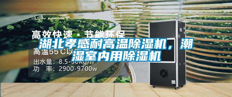 湖北孝感耐高溫除濕機，潮濕室內(nèi)用除濕機