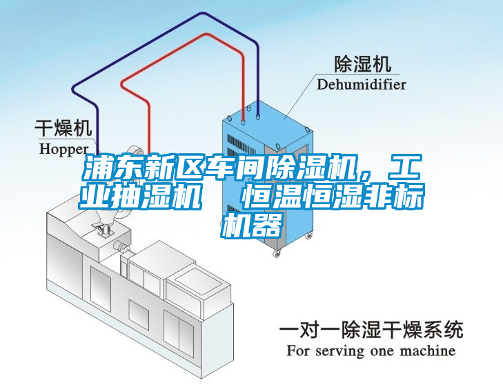 浦東新區(qū)車間除濕機(jī)，工業(yè)抽濕機(jī)  恒溫恒濕非標(biāo)機(jī)器