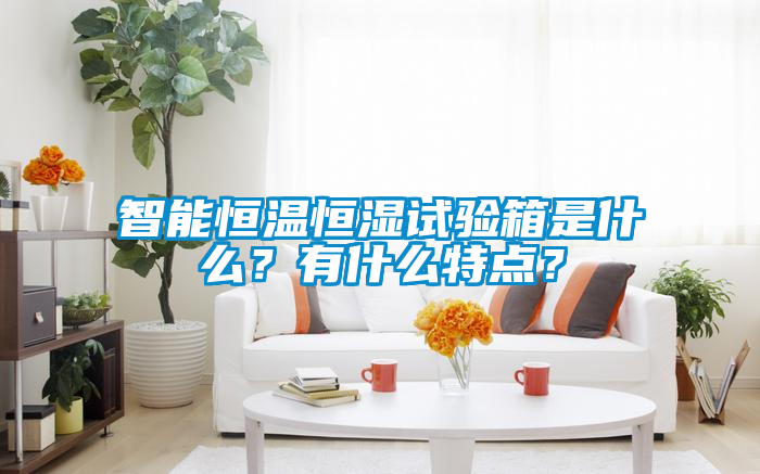 智能恒溫恒濕試驗(yàn)箱是什么？有什么特點(diǎn)？