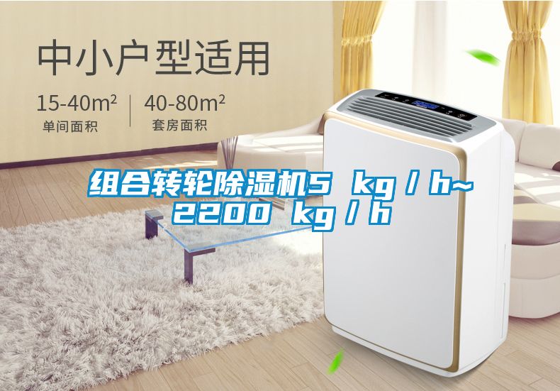 組合轉輪除濕機5 kg／h~2200 kg／h