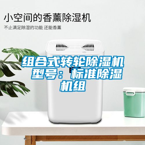 組合式轉(zhuǎn)輪除濕機 型號：標準除濕機組