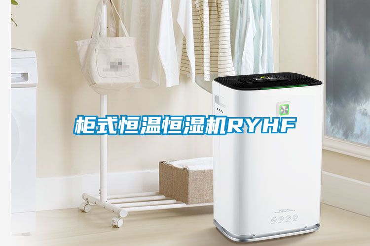 柜式恒溫恒濕機RYHF