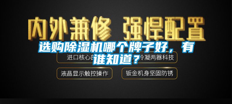 選購除濕機哪個牌子好，有誰知道？