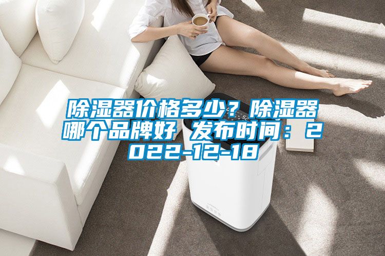 除濕器價格多少？除濕器哪個品牌好 發(fā)布時間：2022-12-18