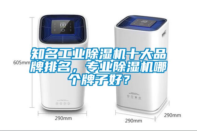 知名工業(yè)除濕機十大品牌排名，專業(yè)除濕機哪個牌子好？