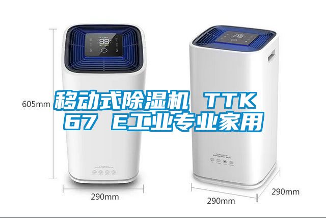 移動式除濕機(jī) TTK 67 E工業(yè)專業(yè)家用