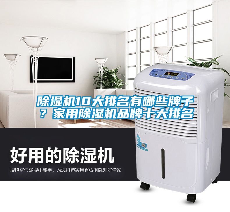 除濕機10大排名有哪些牌子？家用除濕機品牌十大排名