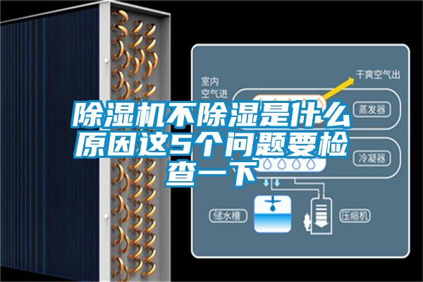 除濕機(jī)不除濕是什么原因這5個問題要檢查一下